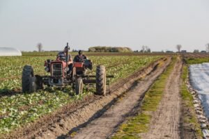 Agence intérim étranger : Comment gérer efficacement l&rsquo;intérim étranger roumain